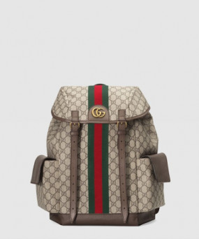 구찌 오피디아 GG 미듐 백팩 598140