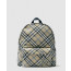 버버리 체크 백팩 80913331