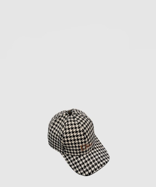 디올 베이스볼 캡 3B2SE