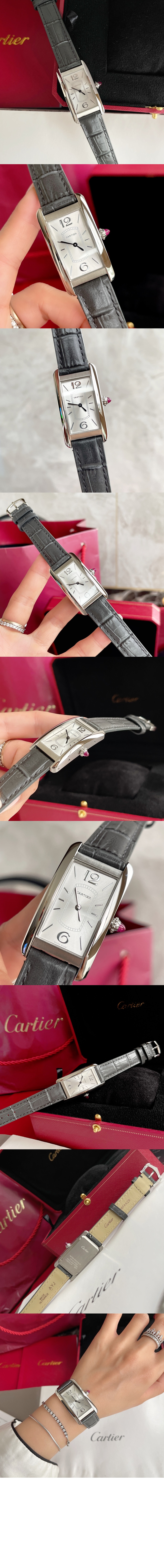 까르띠에 탱크솔로 46.3 WGTA0027