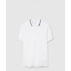 버버리 코튼 폴로셔츠