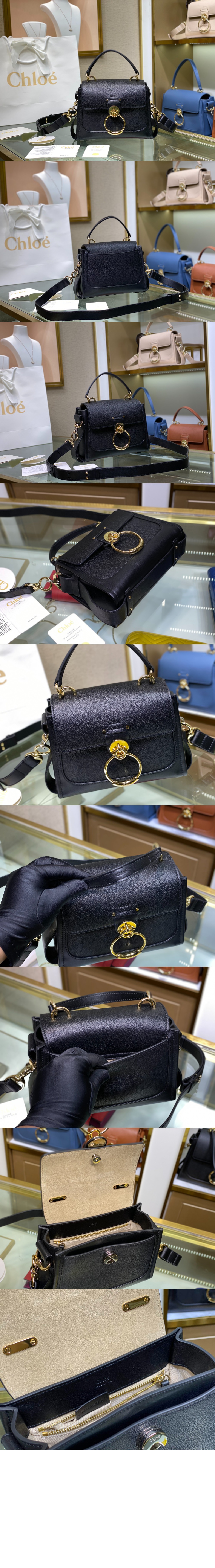 끌로에 테스 미니 데이백 SS143