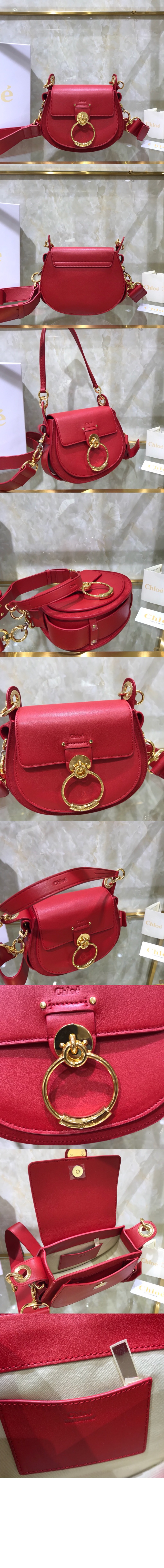 끌로에 샤이니 & 스웨이드 가죽 Tess 스몰백 AS751