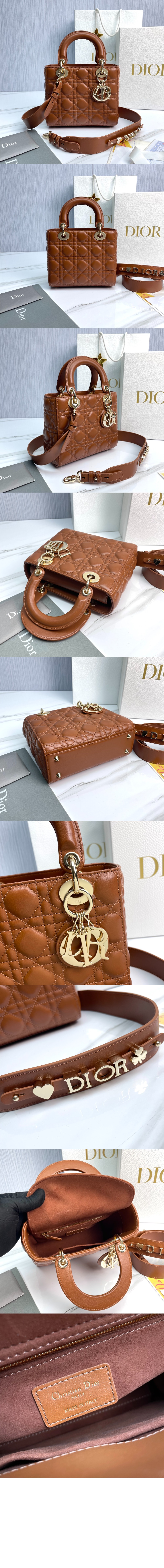 디올 레이디백 ABC M0538