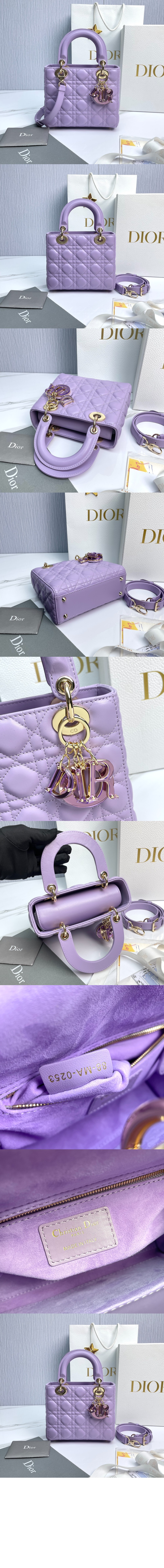 디올 레이디백 램스킨 스몰 M0531