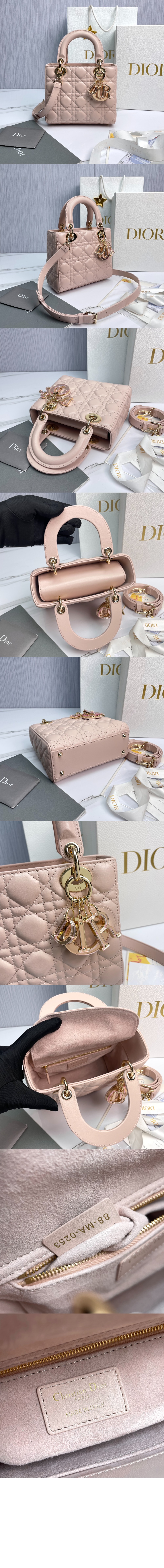 디올 레이디백 램스킨 스몰 M0531