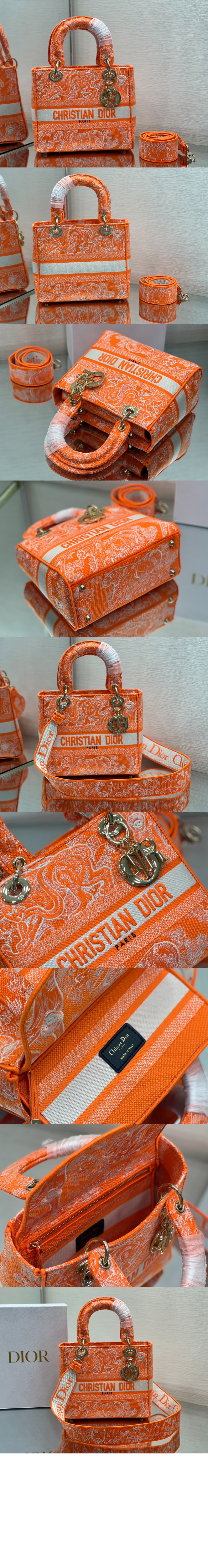 디올 레이디백 디라이트 미듐 M0565