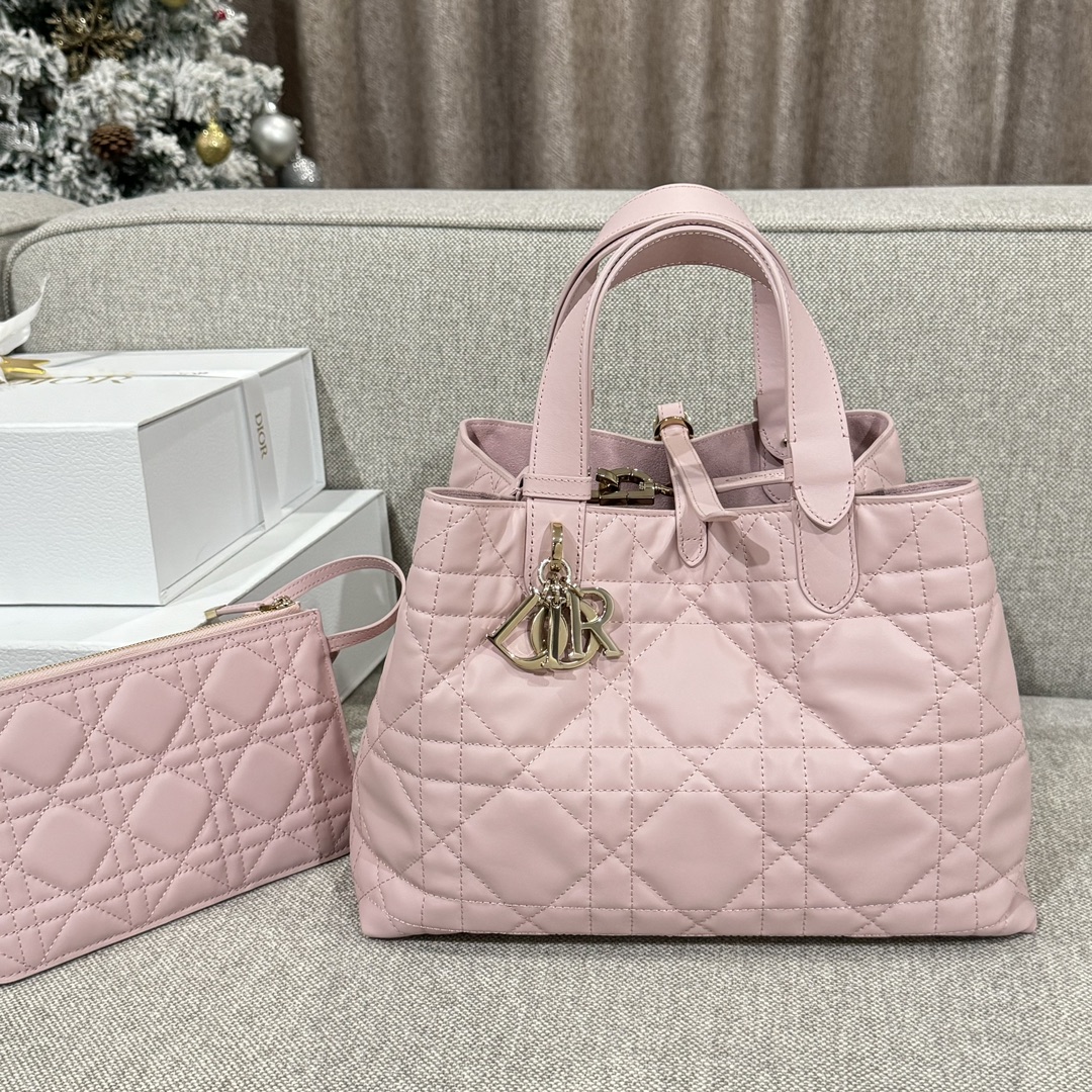 디올 뚜주흐 백 미듐 핑크