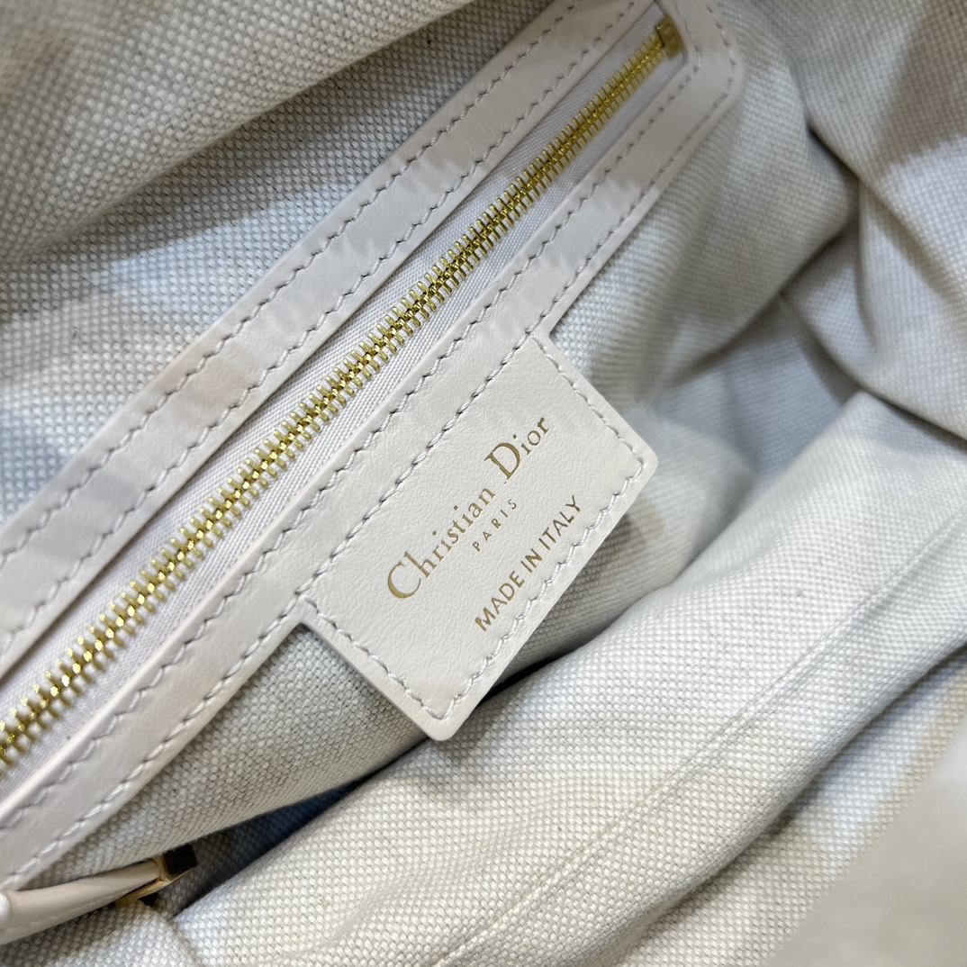 디올 디저니백 스몰