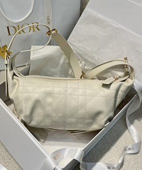 디올 디저니백 스몰