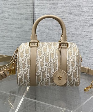 디올 그루브 도트백 20