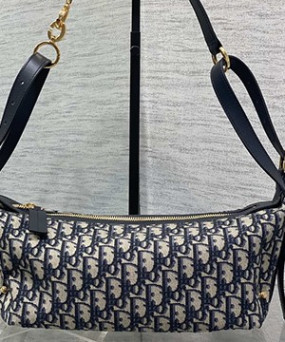 디올 디저니백 미디움