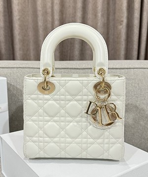 디올 레이디 까나쥬 백 20