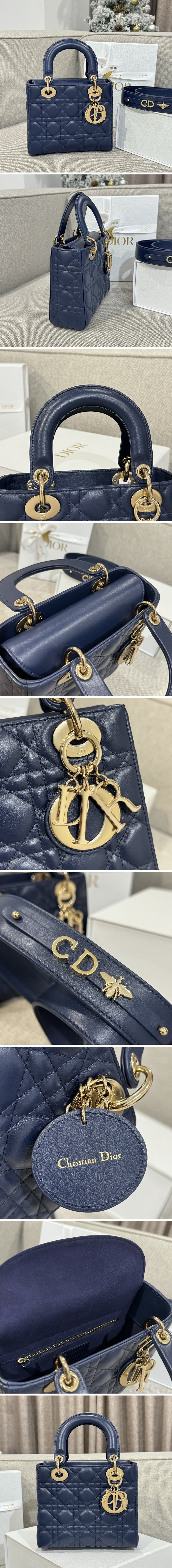 디올 레이디 까나쥬 백 20