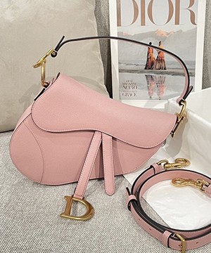 디올 레더 새들 백 25