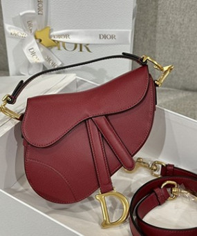 디올 레더 새들 백 19