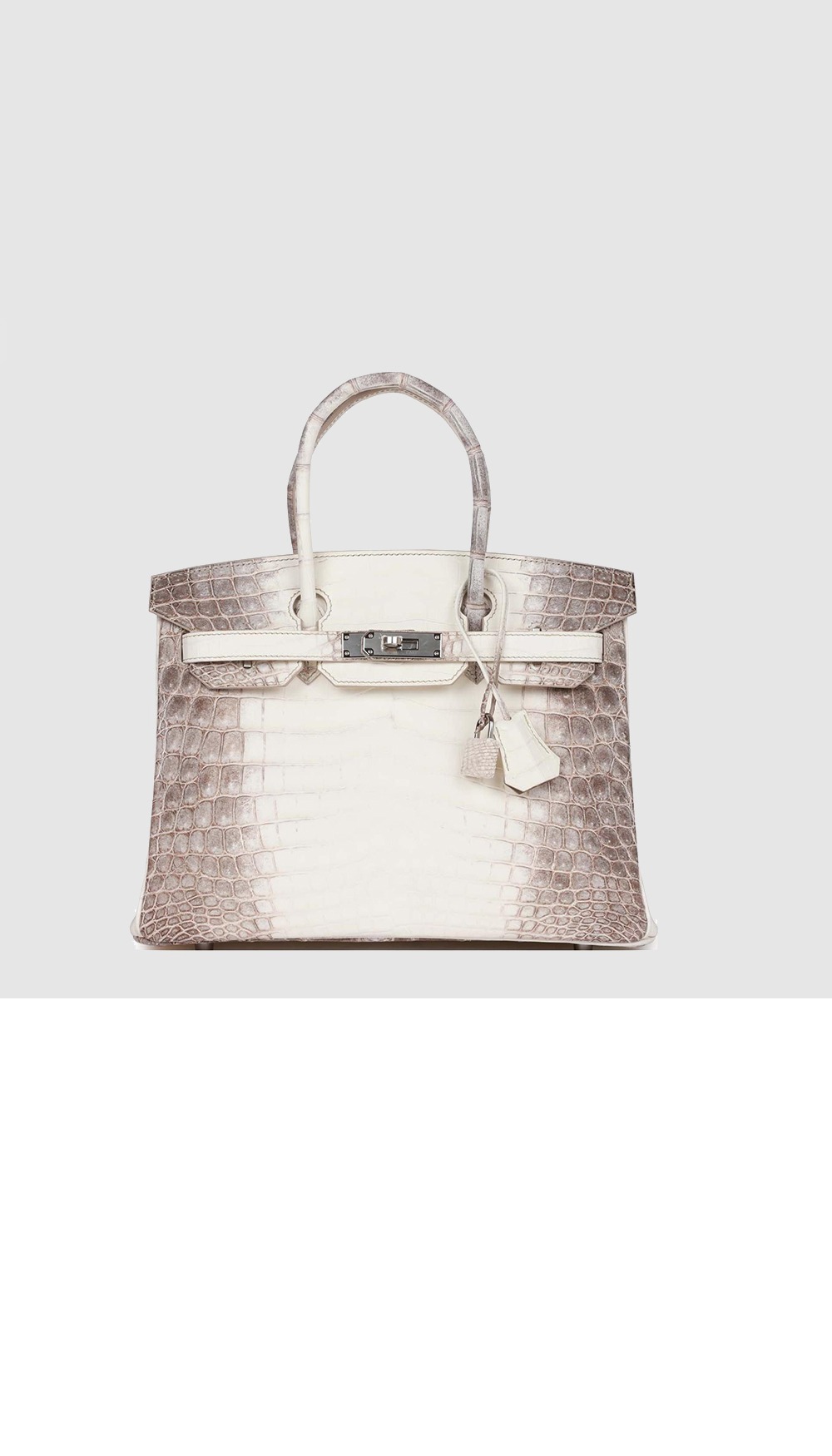 에르메스 버킨백 크로커