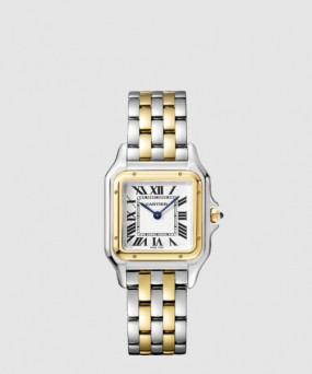 까르띠에 팬더 드 까르띠에 워치 29 W2PN0007