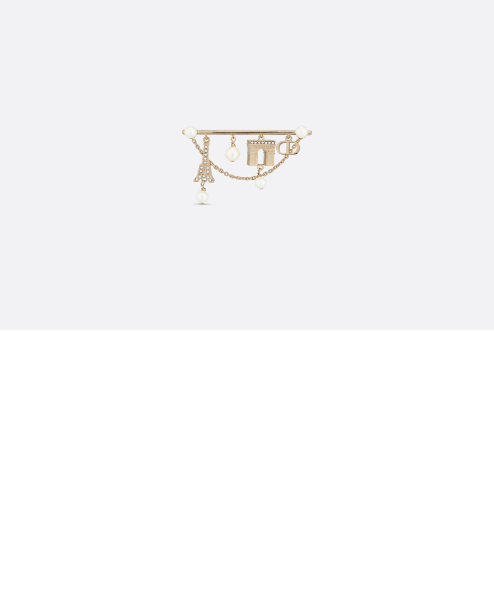 디올 Plan de Paris 브로치 V1134